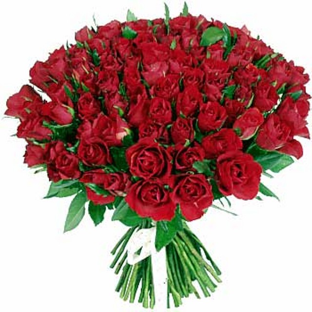 80-rosas 80-rosas