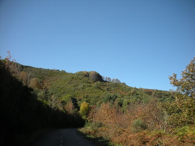 DSCN0126 DSCN0126