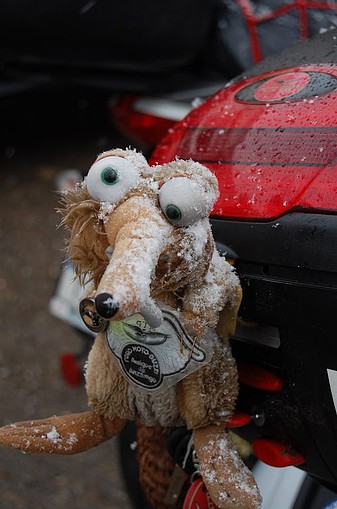 DSC_1775 DSC_1775
