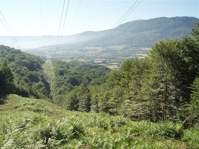 sakanaoff (7) sakanaoff (7)