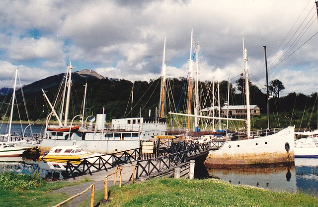 Micalvi, foto 07, en Puerto Williams