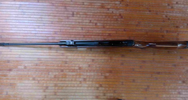 Gamo Hunter 440 WT003