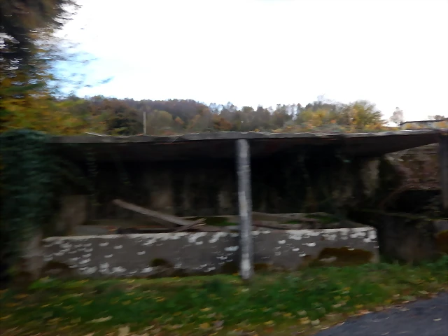 DSCN0631 DSCN0631