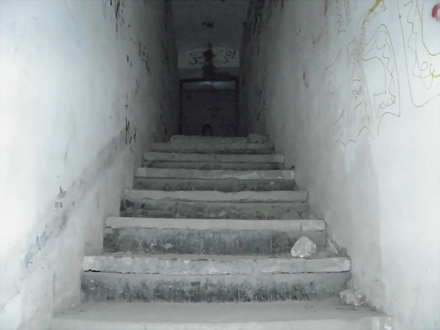 P5310020