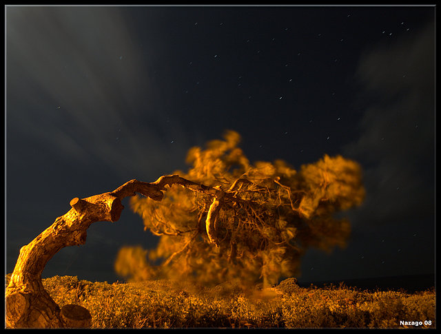 Una noche en portocristo