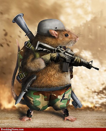 rat-soldier-20131022-450