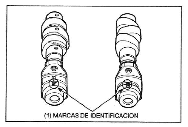 ?rboles levas ?rboles levas