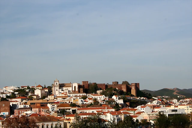 dici 06 050