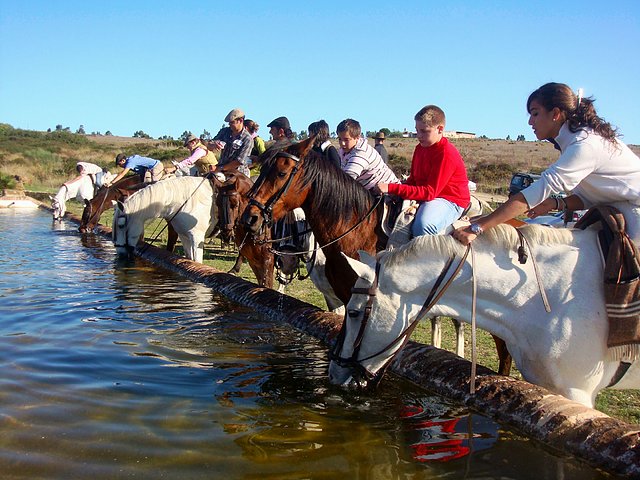 Excursion campestre a Los Dolmenes