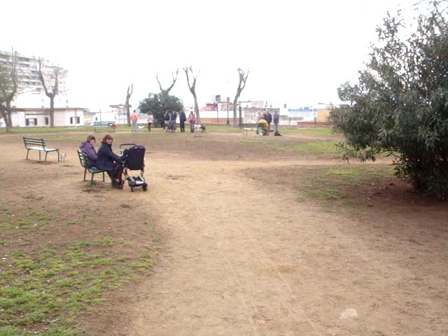 foro-Parque para perros en Huelva-15.02.14-J.Ch.Q 28