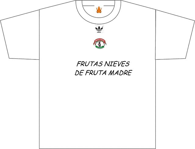 camiseta