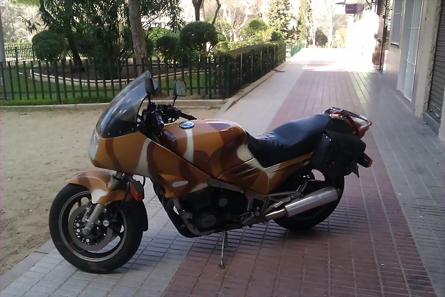 IMAG0069