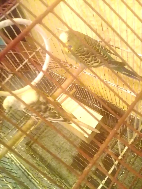 foto 5 foto 5