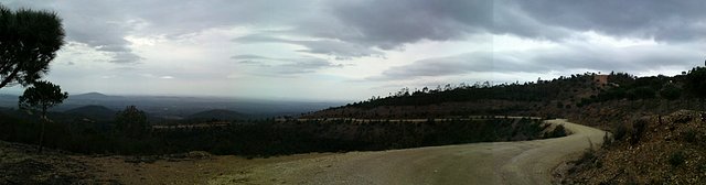 Panormica desde lo alto del mustio