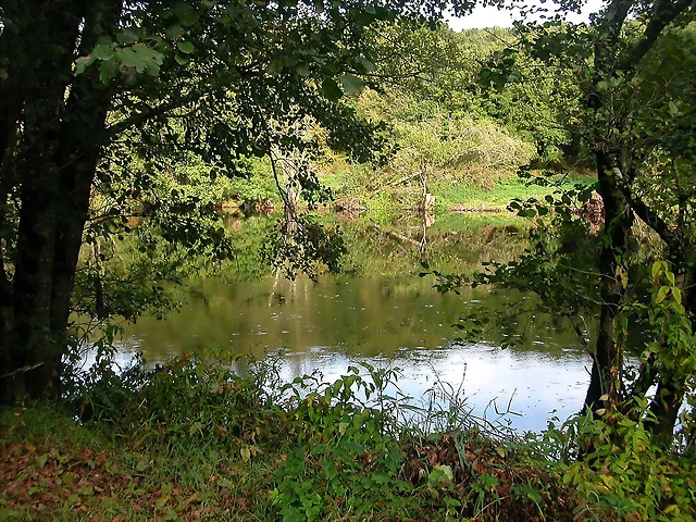 DSCN5293 DSCN5293