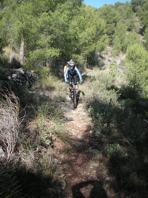 mtb olocau 019 mtb olocau 019