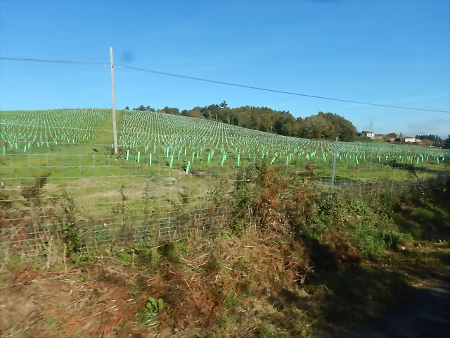 DSCN4563 DSCN4563