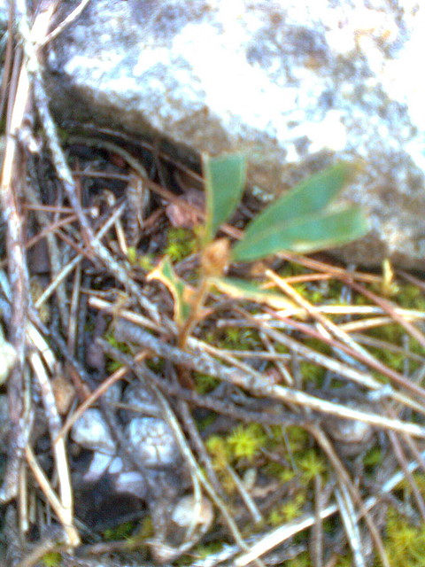 Imagem0221 Imagem0221