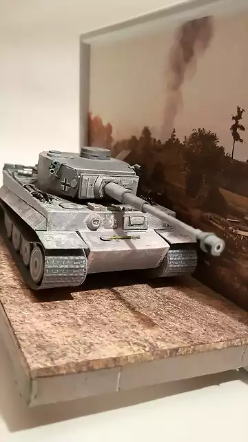 Tiger 1 (43)