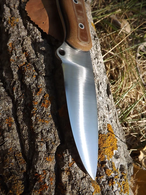 4 4