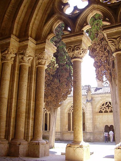 Ciudad Rodrigo claustro1