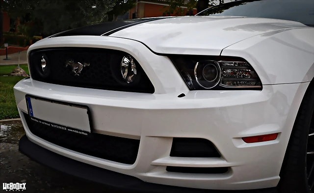 DSC_0835 DSC_0835
