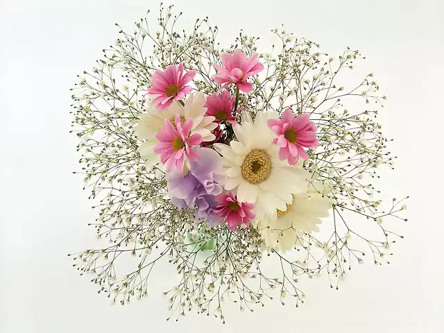 95643__beautiful-flowers_p
