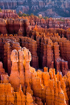 The Hoodoos of Bryce