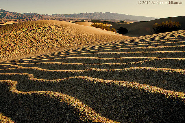 Death_Valley_Mesquite_Dunes