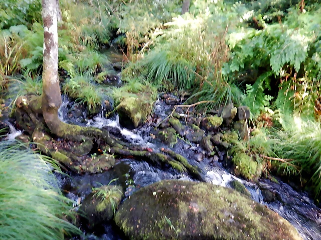 DSCN8452 DSCN8452