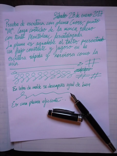 P1030588 P1030588