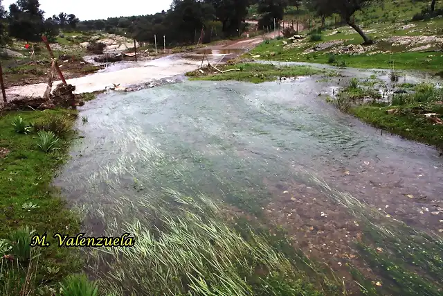 02, arroyo de calderetes, marca