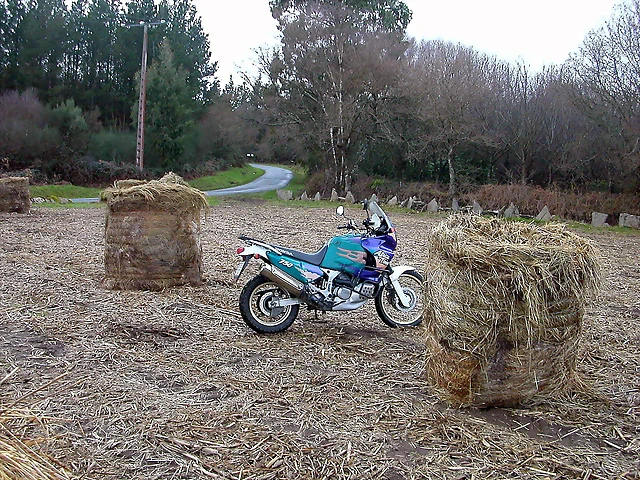 DSCN7330 DSCN7330