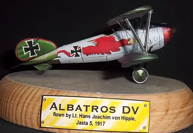 Albatros DV (51)