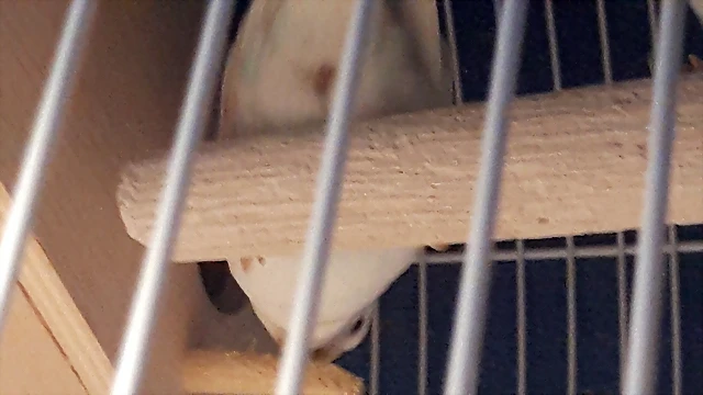 20180830_155748 20180830_155748