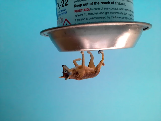 20180507_184020 20180507_184020