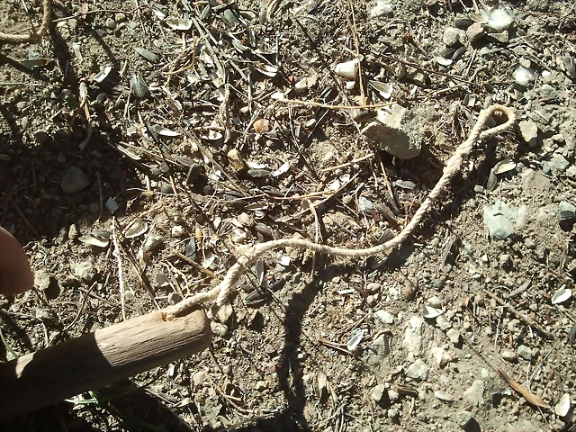 2013-11-09 11.32.57 2013-11-09 11.32.57