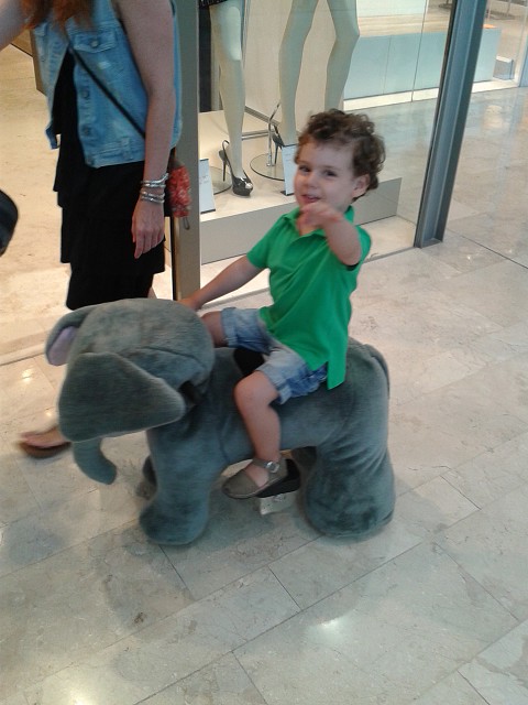Bruno en elefante Bruno en elefante