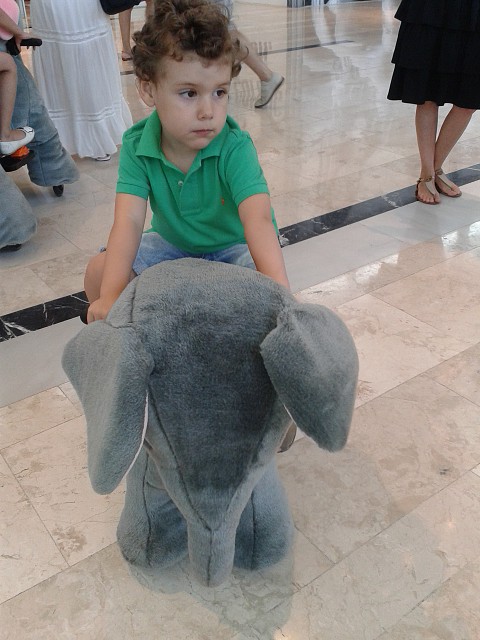 Bruno en elefante 1 Bruno en elefante 1