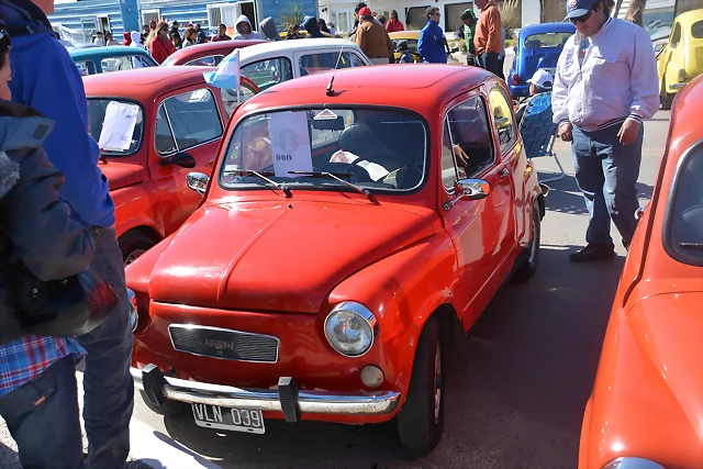DSC_0113 DSC_0113