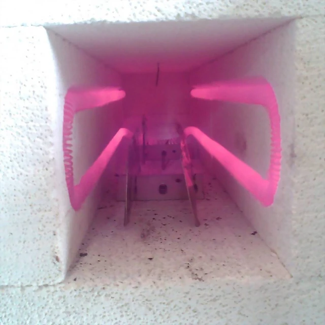 14237484_1003011629811552_4048759789069987420_n