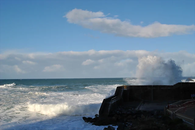 DSC_0566 DSC_0566