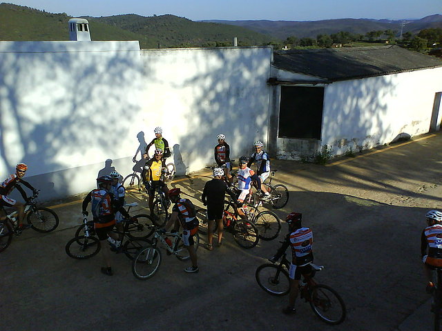 los bichos los bichos
