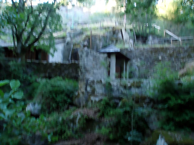 P1010198 P1010198