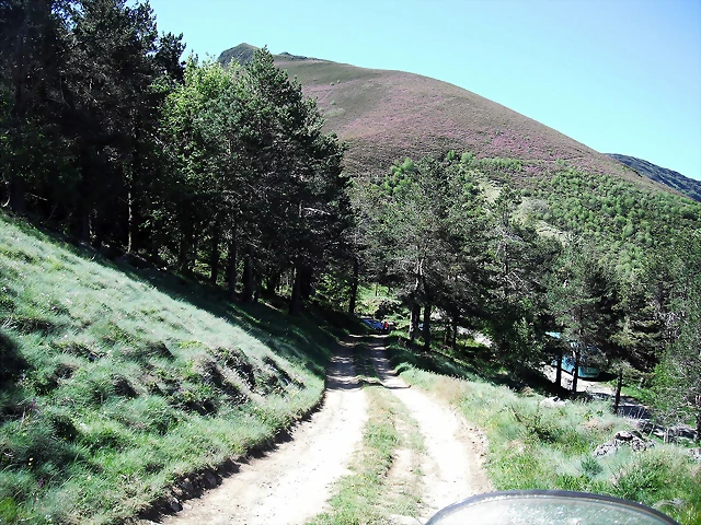 DSCF2517 DSCF2517