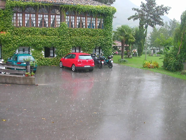 DSCN4131 DSCN4131