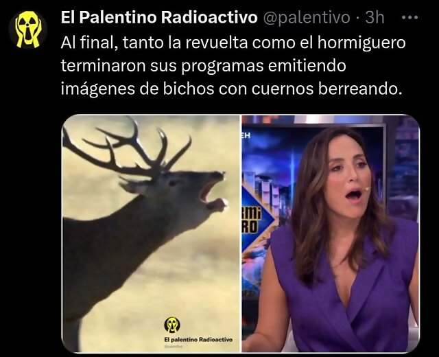 MemeHormiguero24-1