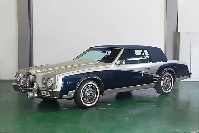 Buick Riviera_Packard Bayliff_1981_6053CA