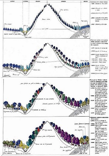 sucesion ideal cordillera cantabrica