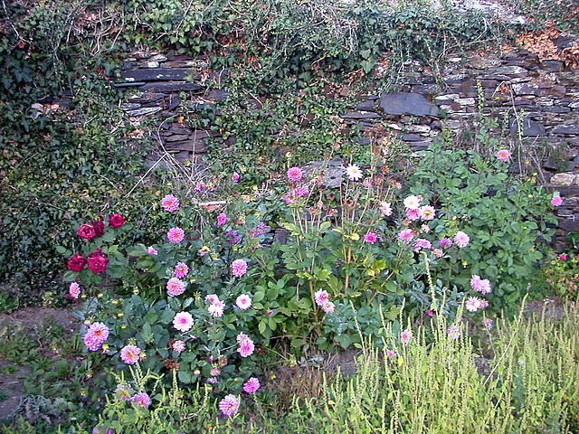 DSCN7969 DSCN7969
